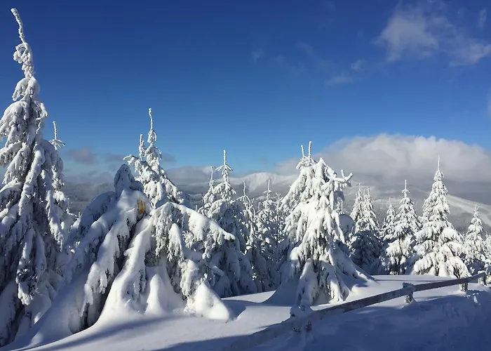 Yveta - Depandance Horske Zatisi 3*